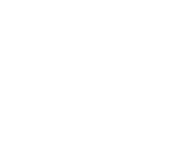 The Opulent Residence